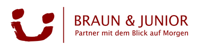Logo BRAUN & JUNIOR Wirtschaftstreuhand- und Steuerberatungs GmbH